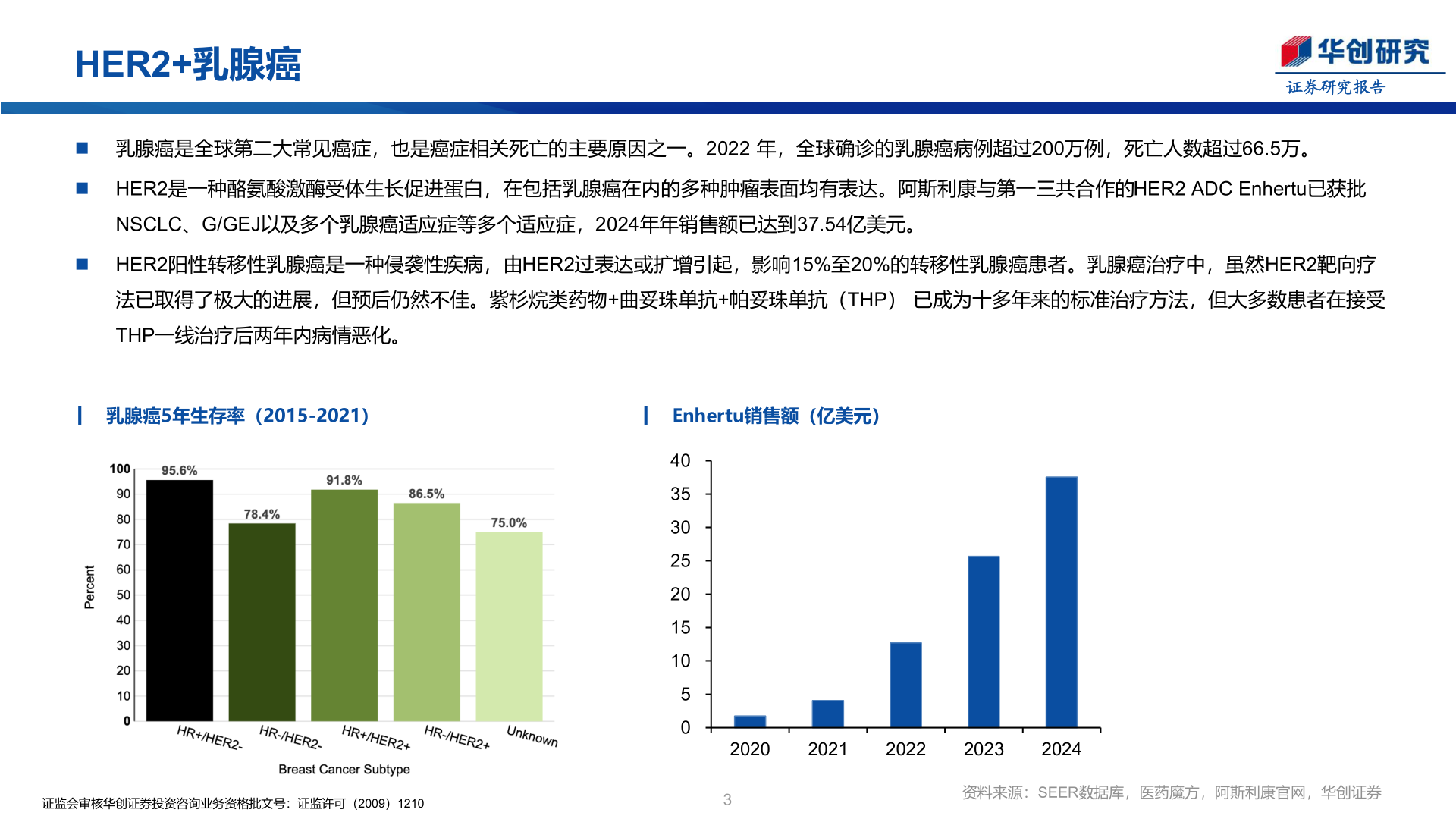 我想了解一下HER2+乳腺癌