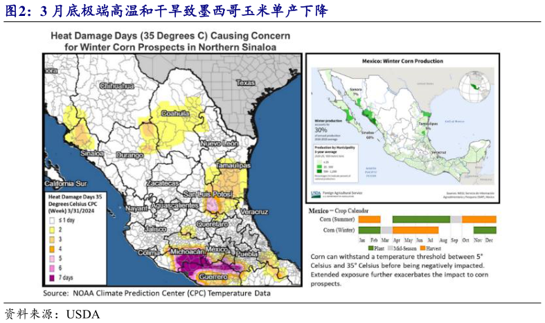 如何了解3 月底极端高温和干旱致墨西哥玉米单产下降?