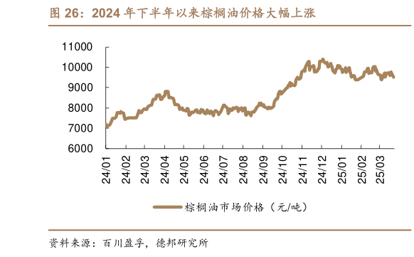 怎样理解2024 年下半年以来棕榈油价格大幅上涨