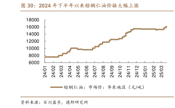 如何解释2024 年下半年以来棕榈仁油价格大幅上涨