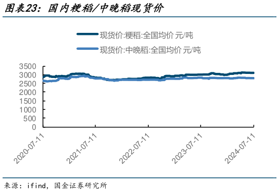 谁知道国内粳稻中晚稻现货价?