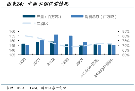 如何看待中国水稻供需情况?