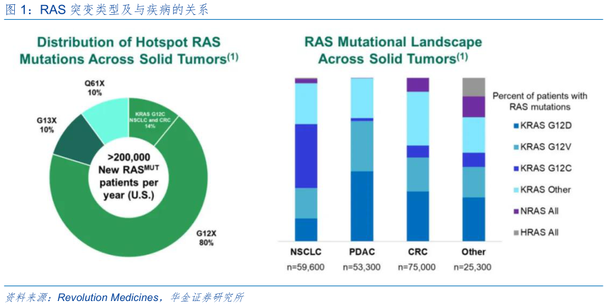 如何了解RAS 突变类型及与疾病的关系