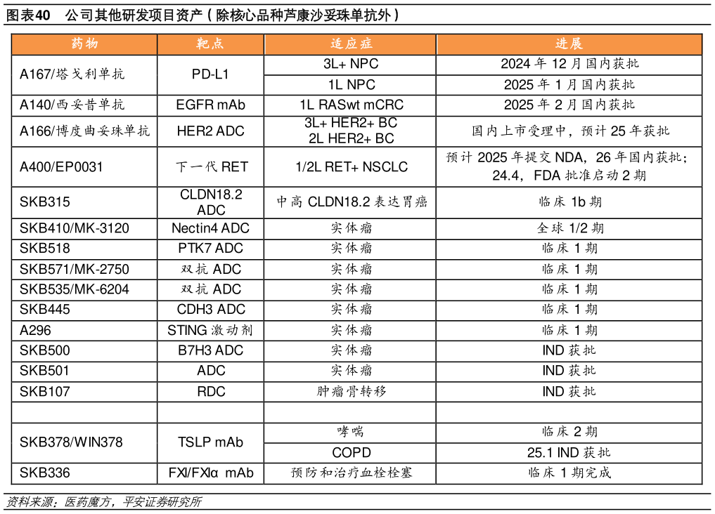 谁知道公司其他研发项目资产(除核心品种芦康沙妥珠单抗外)?