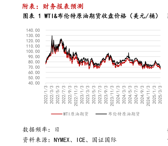 想关注一下附表：财务报表预测 