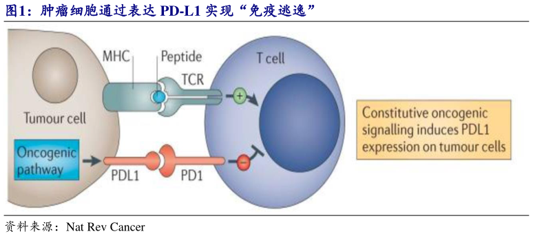 咨询大家肿瘤细胞通过表达 PD-L1 实现“免疫逃逸”