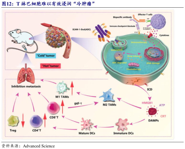 你知道T 淋巴细胞难以有效浸润“冷肿瘤”