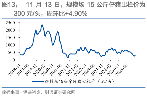 咨询下各位11 月 13 日，规模场 15 公斤仔猪出栏价为