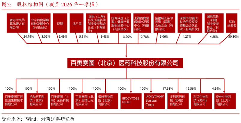 怎样理解股权结构图（截至 2026 年一季报）