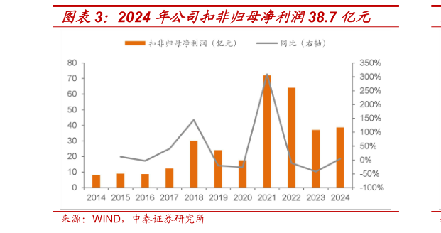 如何了解2024 年公司扣非归母净利润38.7 亿元