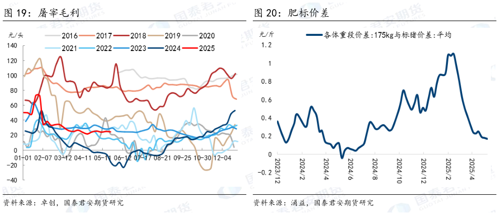 想关注一下屠宰毛利 肥标价差