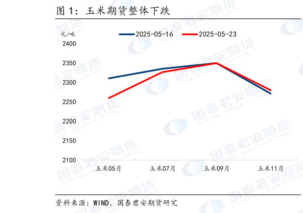 怎样理解玉米期货整体下跌