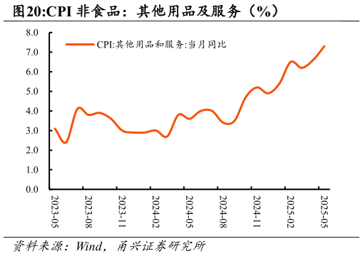 怎样理解CPI 非食品：其他用品及服务（%）