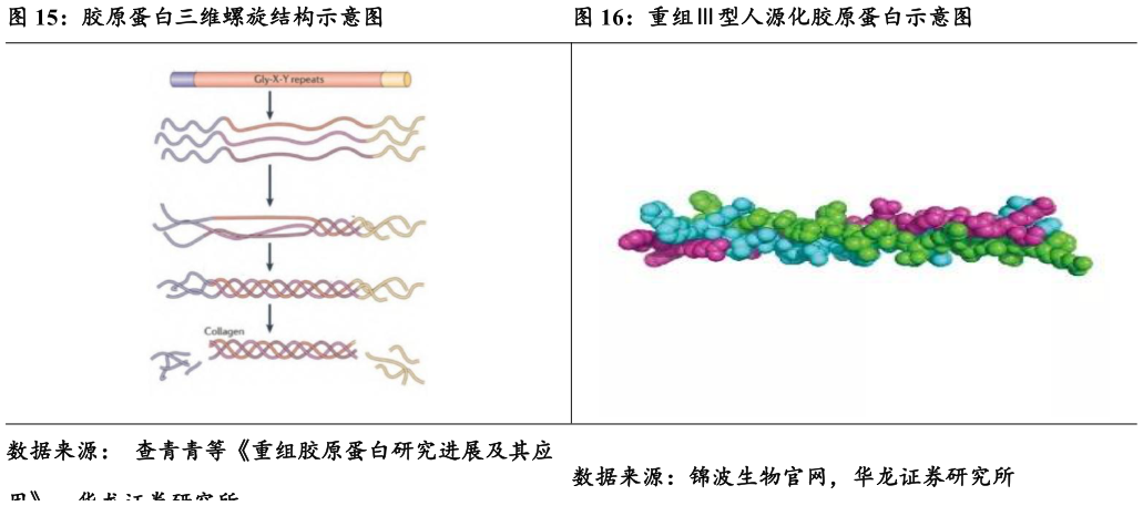 咨询下各位胶原蛋白三维螺旋结构示意图重组型人源化胶原蛋白示意图?