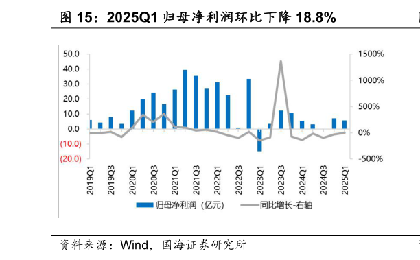 谁能回答2025Q1 归母净利润环比下降 18.8%