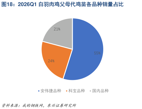 想问下各位网友2026Q1 白羽肉鸡父母代鸡苗各品种销量占比?