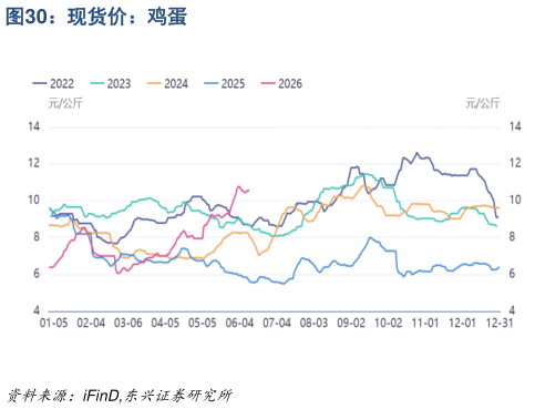 如何看待现货价:鸡蛋?