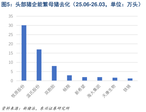 你知道头部猪企能繁母猪去化(25.06-26.03,单位:万头)?