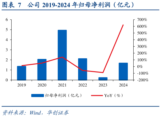 谁知道公司 2019-2024 年归母净利润(亿元)?
