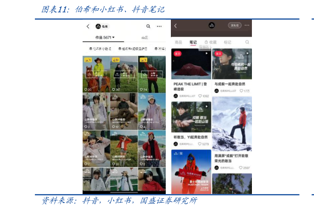 各位网友请教一下伯希和小红书、抖音笔记?