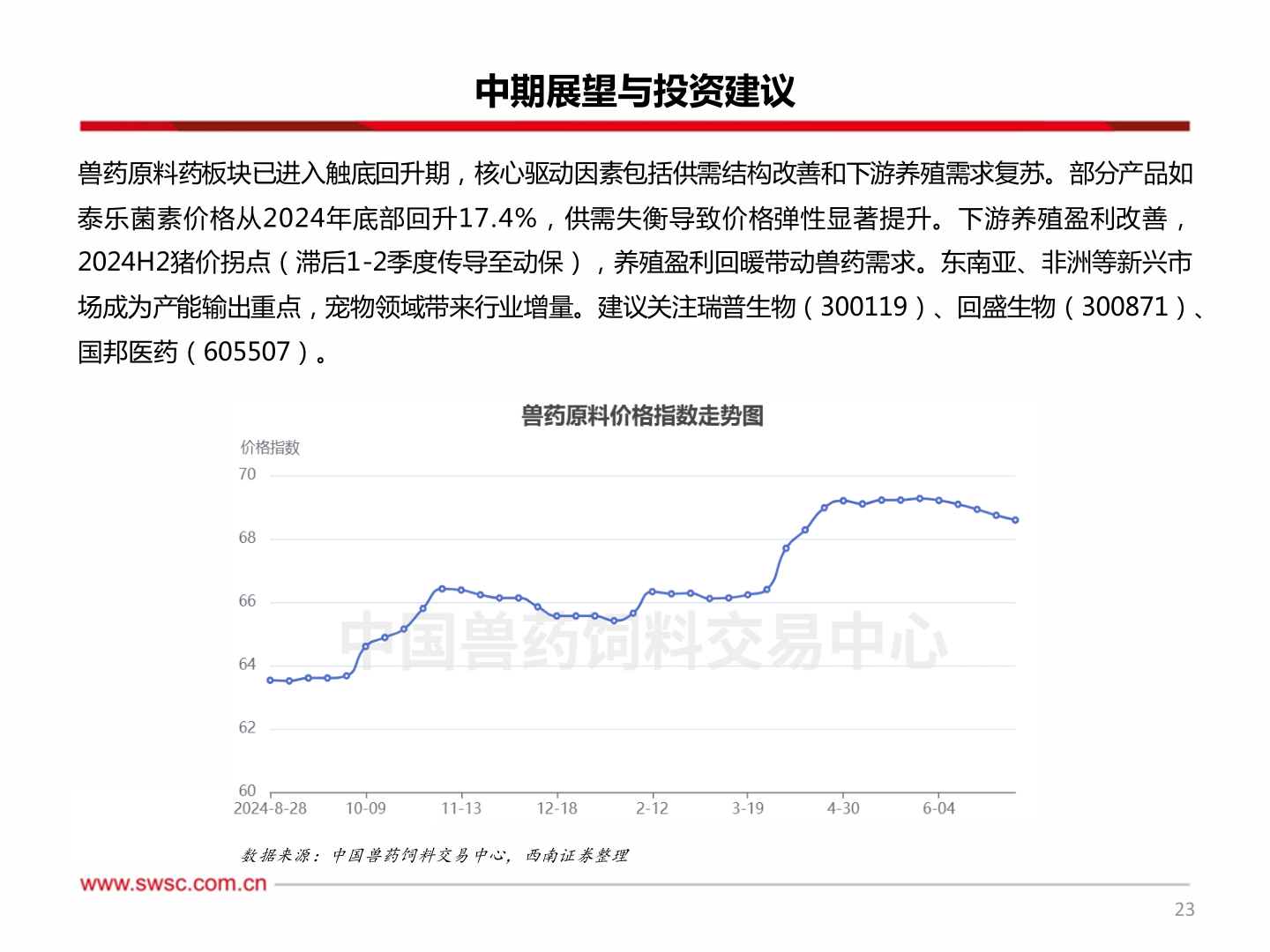 如何了解中期展望与投资建议?