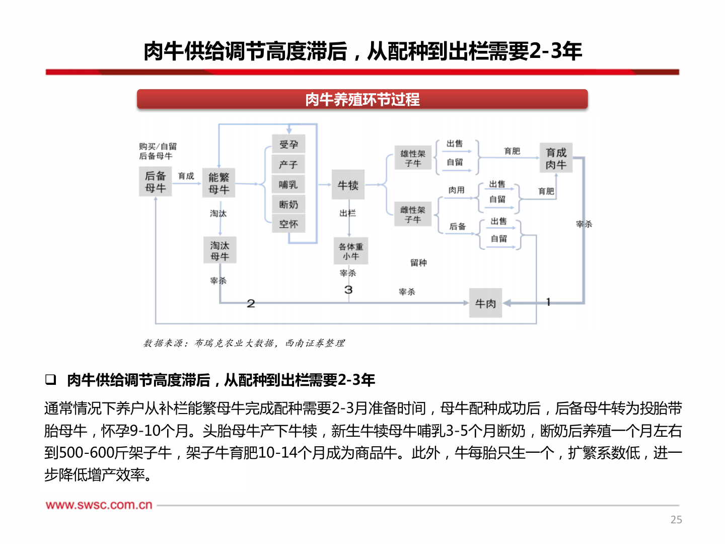 谁知道肉牛供给调节高度滞后，从配种到出栏需要2-3年?