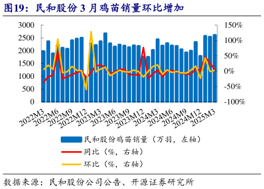 咨询大家民和股份 3 月鸡苗销量环比增加?