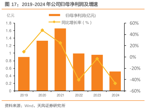 怎样理解2019-2024 年公司归母净利润及增速?