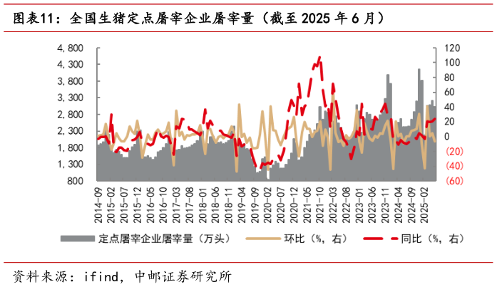 请问一下全国生猪定点屠宰企业屠宰量（截至 2025 年 6 月）?