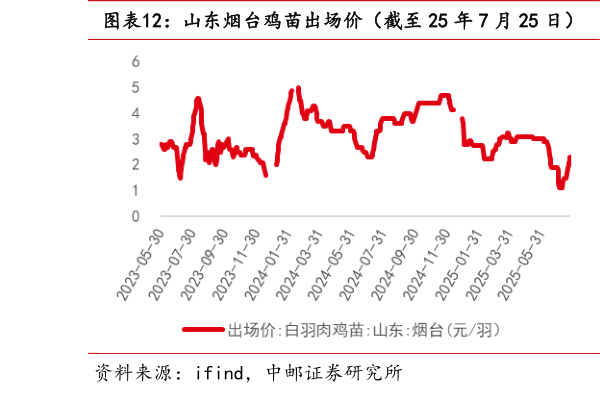 你知道山东烟台鸡苗出场价（截至 25 年 7 月 25 日）  山东烟台毛鸡收购价（截至 25 年 7 月 25 日）?