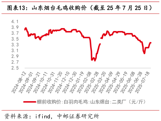 咨询下各位山东烟台毛鸡收购价（截至 25 年 7 月 25 日）
