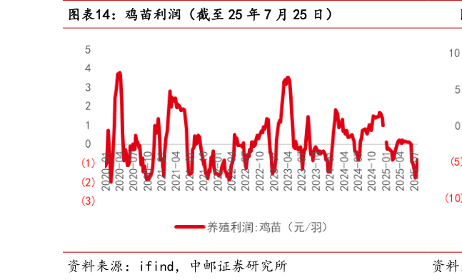 请问一下鸡苗利润（截至 25 年 7 月 25 日）?