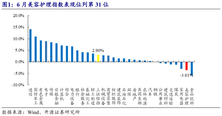我想了解一下6 月美容护理指数表现位列第 31 位