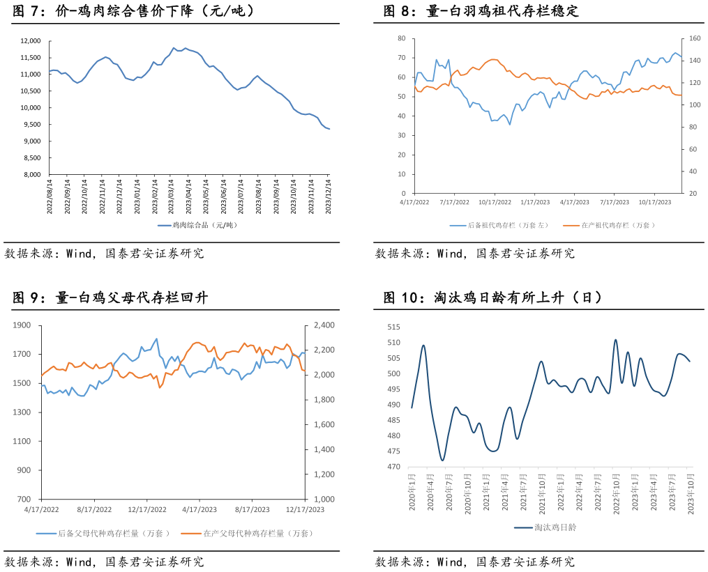 一起讨论下量-白羽鸡祖代存栏稳定 淘汰鸡日龄有所上升（日）?