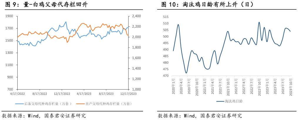咨询大家量-白鸡父母代存栏回升 价-毛鸡价格稳定（元公斤） 量-白羽鸡祖代存栏稳定 淘汰鸡日龄有所上升（日）?