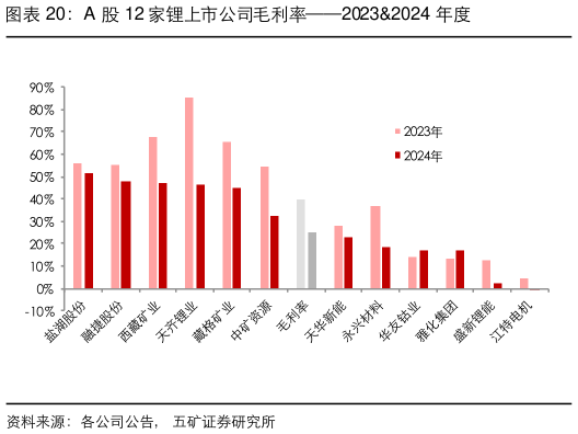 想关注一下A 股 12 家锂上市公司毛利率20232024 年度