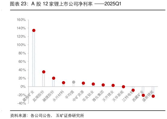 如何解释A 股 12 家锂上市公司净利率  2025Q1