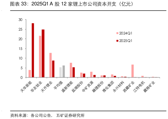 各位网友请教一下2025Q1 A 股 12 家锂上市公司资本开支（亿元）