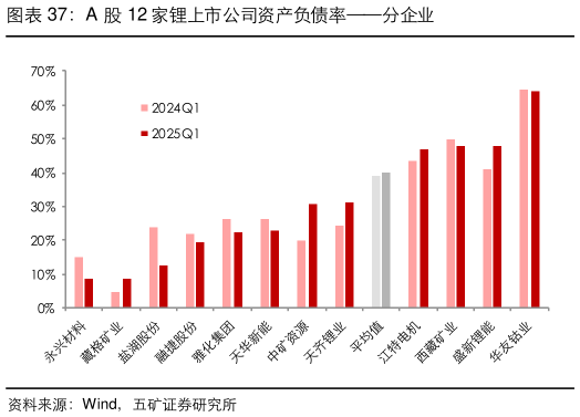 想关注一下A 股 12 家锂上市公司资产负债率分企业