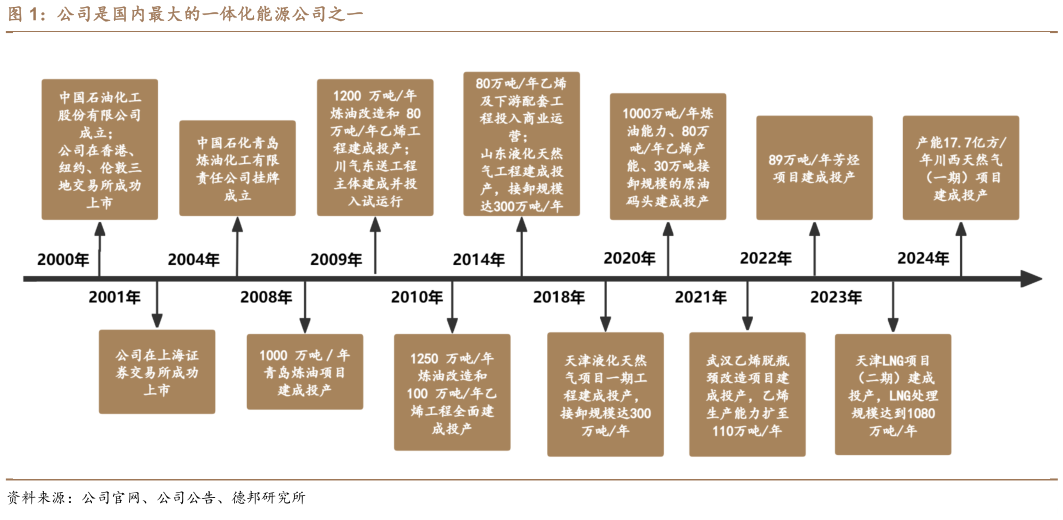 我想了解一下公司是国内最大的一体化能源公司之一