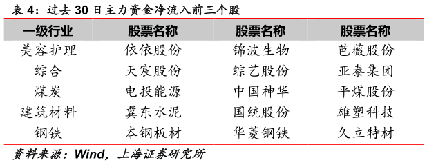 咨询大家过去 30 日主力资金净流入前三个股