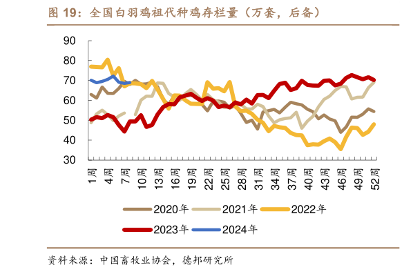 咨询大家全国白羽鸡祖代种鸡存栏量(万套,后备)?