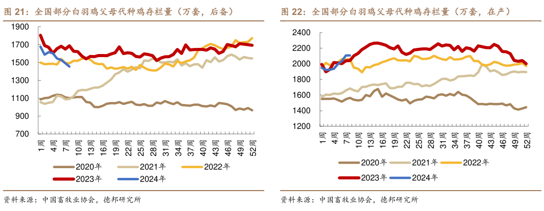 谁能回答全国部分白羽鸡父母代种鸡存栏量(万套,后备)全国部分白羽鸡父母代种鸡存栏量(万套,在产)?