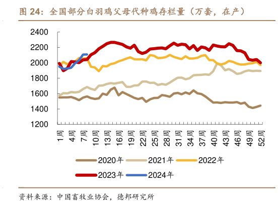 咨询下各位全国部分白羽鸡父母代种鸡存栏量(万套,在产)?