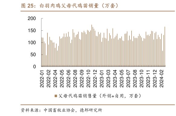 如何看待白羽肉鸡父母代鸡苗销量(万套)?