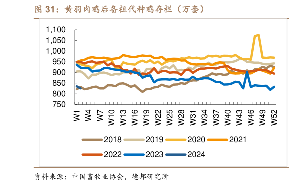 如何解释黄羽肉鸡后备祖代种鸡存栏(万套)?
