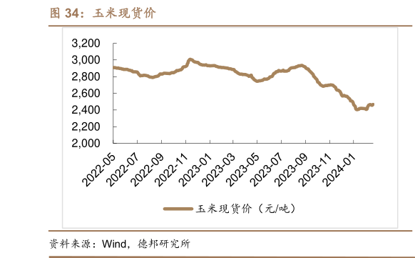一起讨论下玉米现货价?