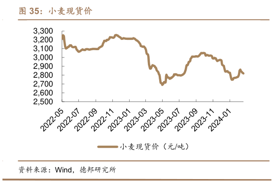 如何了解小麦现货价?