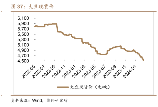 谁能回答大豆现货价?
