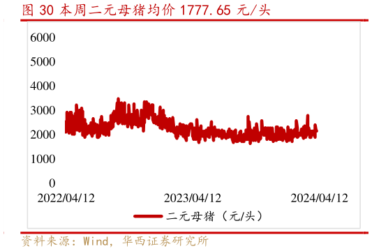 怎样理解本周二元母猪均价 1777.65 元头?